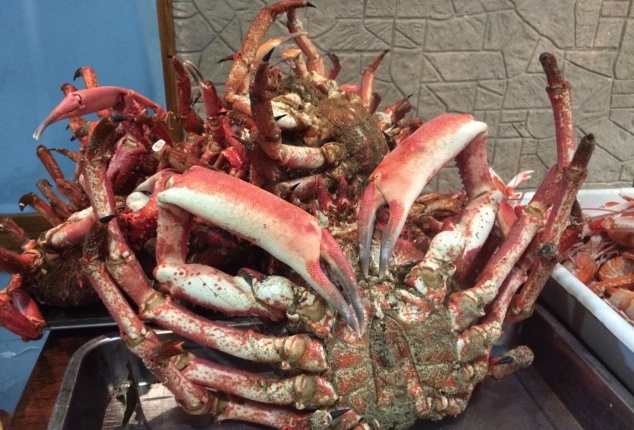 Marisqueria en Ourense