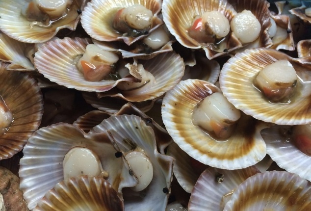 Marisquería en Ourense